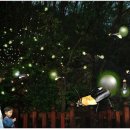 문화공간 가꾸기 이미지