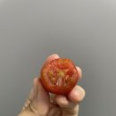 태영상회 이미지