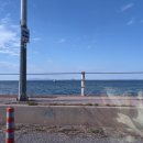 애견&만들기 | 내돈내산 애견동반캠핑장 붕어빵만들기세트 전기히터후기