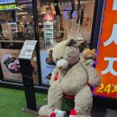 UR(의정부시)-[평화로]-상-195 | 의정부 망월사역 맛집 킹돈 망월사역본점 후기