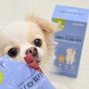 오르헬스케어 이미지