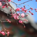 기원커피방 이미지