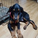 공설운동장 후문 이미지