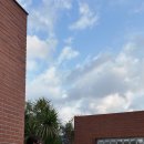 비바봉성 이미지