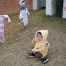 삼오슈퍼 Daum카페