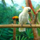 대흥동 주민센터 이미지