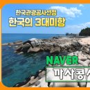 까사콩새 이미지