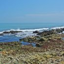 송정환경 이미지