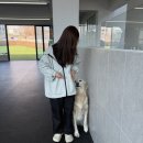네버슬립독 | 네버슬립독 반려동물 행동지도사 자격증 준비🐕