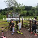 호계민원센터 이미지