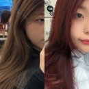 로이드밤익산 | 기장추가 없는 미용실 로이드밤 익산모현SP점 레드❤️‍🔥염색 내돈내산 후기