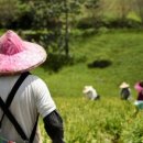 고용주 행정사 이미지