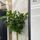 풀핏 덕포 이미지