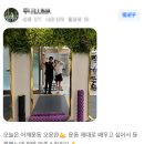 고릴라 멀티짐 이미지