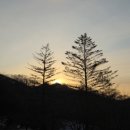 펠트남양주점 | [묘적사] 남양주 냥이와 함께하는 템플스테이 체험형 후기