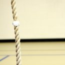 Timeless PT Studio | 녹번동헬스장 Timeless PT Studio 헬스장 근육 만들기