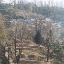완성군이귀정묘역 Daum카페