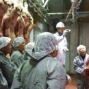 우리손에프앤지 농업회사법인(주) 강원엘피씨 이미지