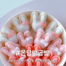 No368. 부산 동래구 명륜동 부산답례떡 온담떡공방 포장&amp;방문 후기