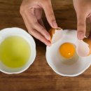 광진동물병원 이미지