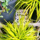 성중농장 이미지