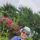 길순농장 이미지