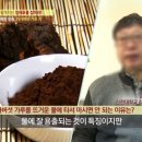벧엘한약초