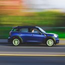 아이언게러지 이미지