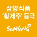 삼양식품, &#39;황제주&#39; 등극! 불닭볶음면의 힘, 주가 123만 원 돌파의 비결은?