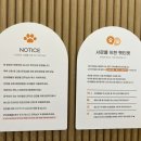 엔조이펫 이미지