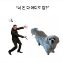 비에이치씨치킨(검암점) | 예쁜쓰레기와 함께한 11월 마지막 자국들