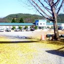 신녕서부초등학교 이미지