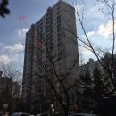 분당-391 이미지