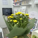 서윤옷사랑 이미지