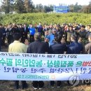 신효동-31 이미지