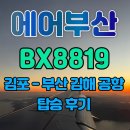 김해공항 국내선 | 에어부산 서울 김포 부산 김해 공항 국내선 A320-200 BX8819 좌석 지정 체크인 탑승 후기