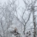 진달래골민박 이미지