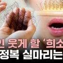 와이즈픽