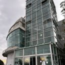 코우코알라 | [서귀포 카페]코우코알라 ㅡ 바다 보며 누워서 힐링하는 말차 맛집 내돈내산