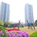 (주)아침부동산중개법인 | 동탄역아파트, '동탄역 푸르지오'를 주목해야 하는 이유!