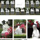 죽산면사무소 주차장 이미지