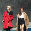 디자인위키 이미지