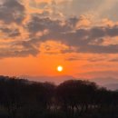 동구구립안심도서관 | 강변라이딩,금호강변산책,금호강변마라톤,동구구립안심도서관,율하체육공원,동구운동하기좋은곳 2025.11.26