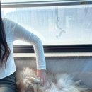 바로나도 수원영통 이미지