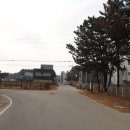 청포대휴야영장 이미지