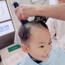 삼성이용원 이미지