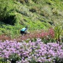 부영A단지앞도로1 이미지