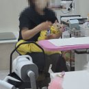 무마취 고양이 미용실 반할고양 | 일산 고양 근처 고양이 무마취 미용실 내돈내산 참관 가능한 후기