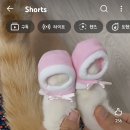 꼬까신 Daum카페