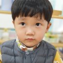 정과현